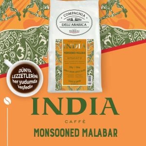 Caffe Corsini Hindistan Monsooned Malaba %100 Arabica Çekirdek Kahve 250GR